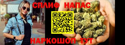 стафф Берёзовский