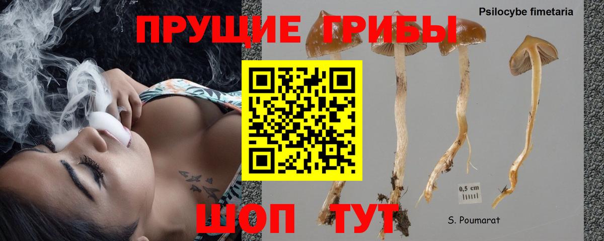 Камышин  Галлюциногенные грибы Magic Shrooms  Вход с VPN 